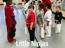Little Ninjas Class